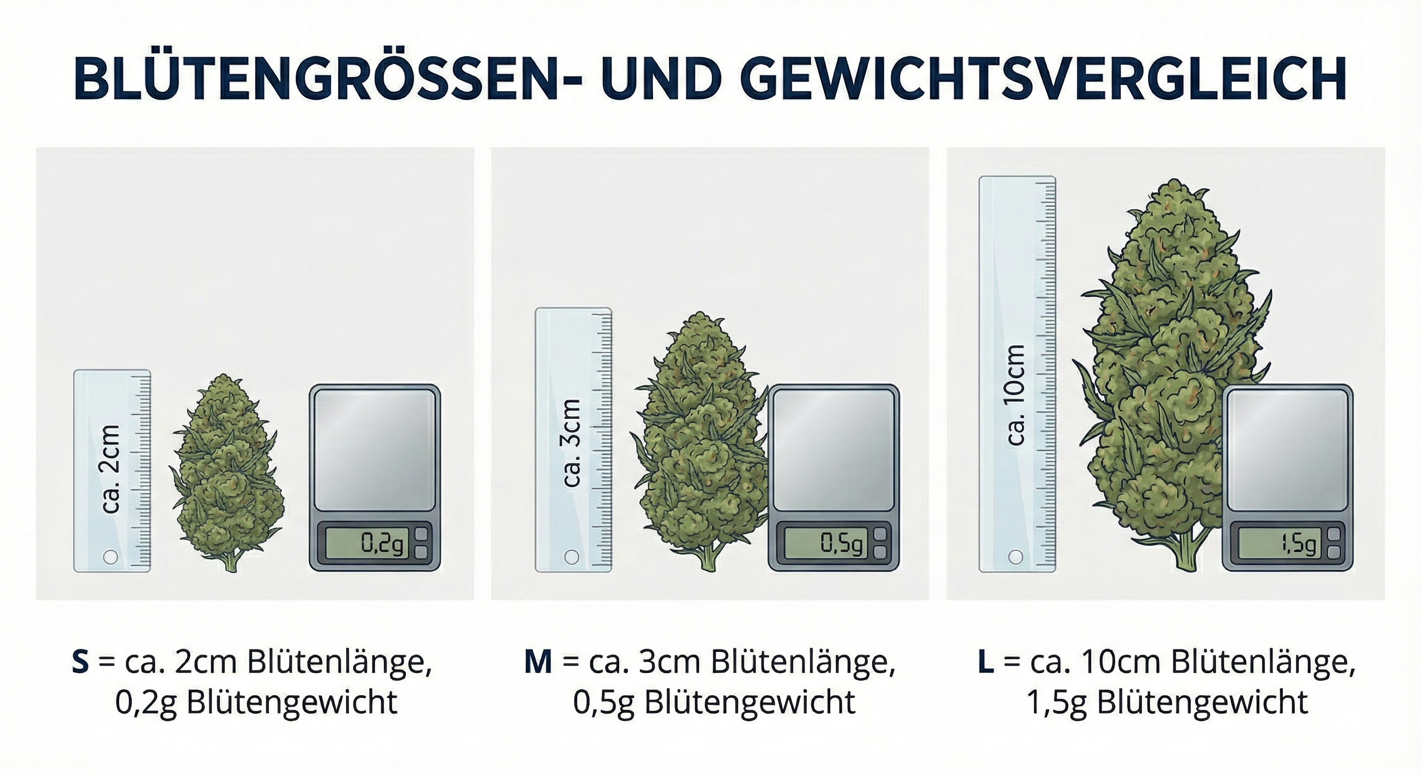 Deine persönliche Mary Chain